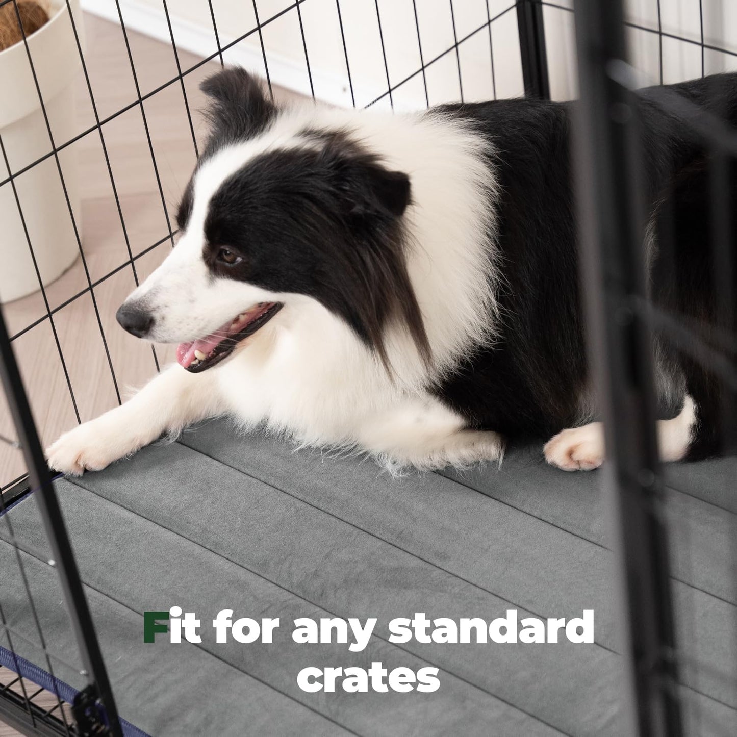 BALANCE Dog Crate Pad, Dog Foam Crate Mat Kennel Pad, Washable Bed