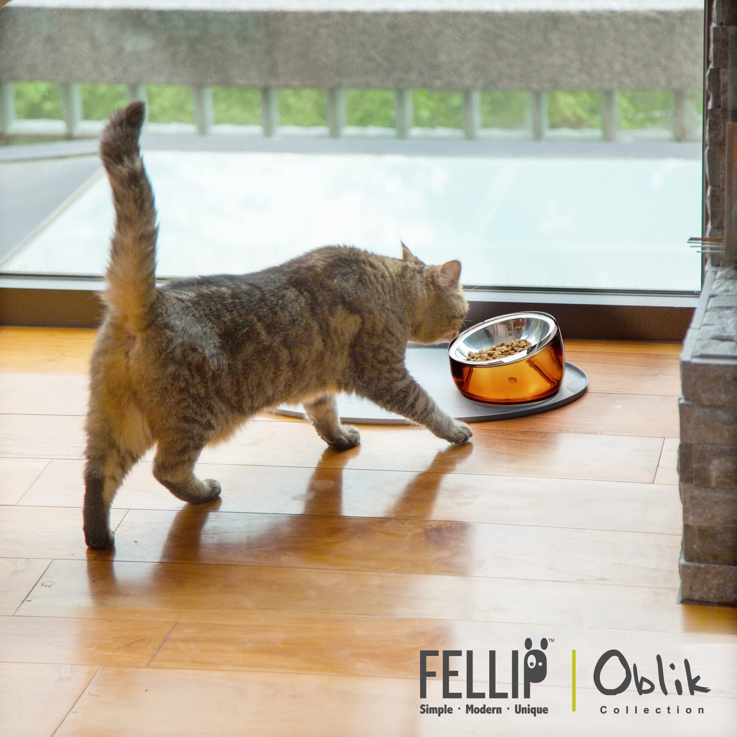 Felli Pet Oblik Whisker Fatigue Cat Food Bowl Raised Stainless Bowl
