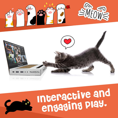 Cat Scratcher Laptop Cat Toy with 'Mouse' Jingle Ball, Stickers Pad
