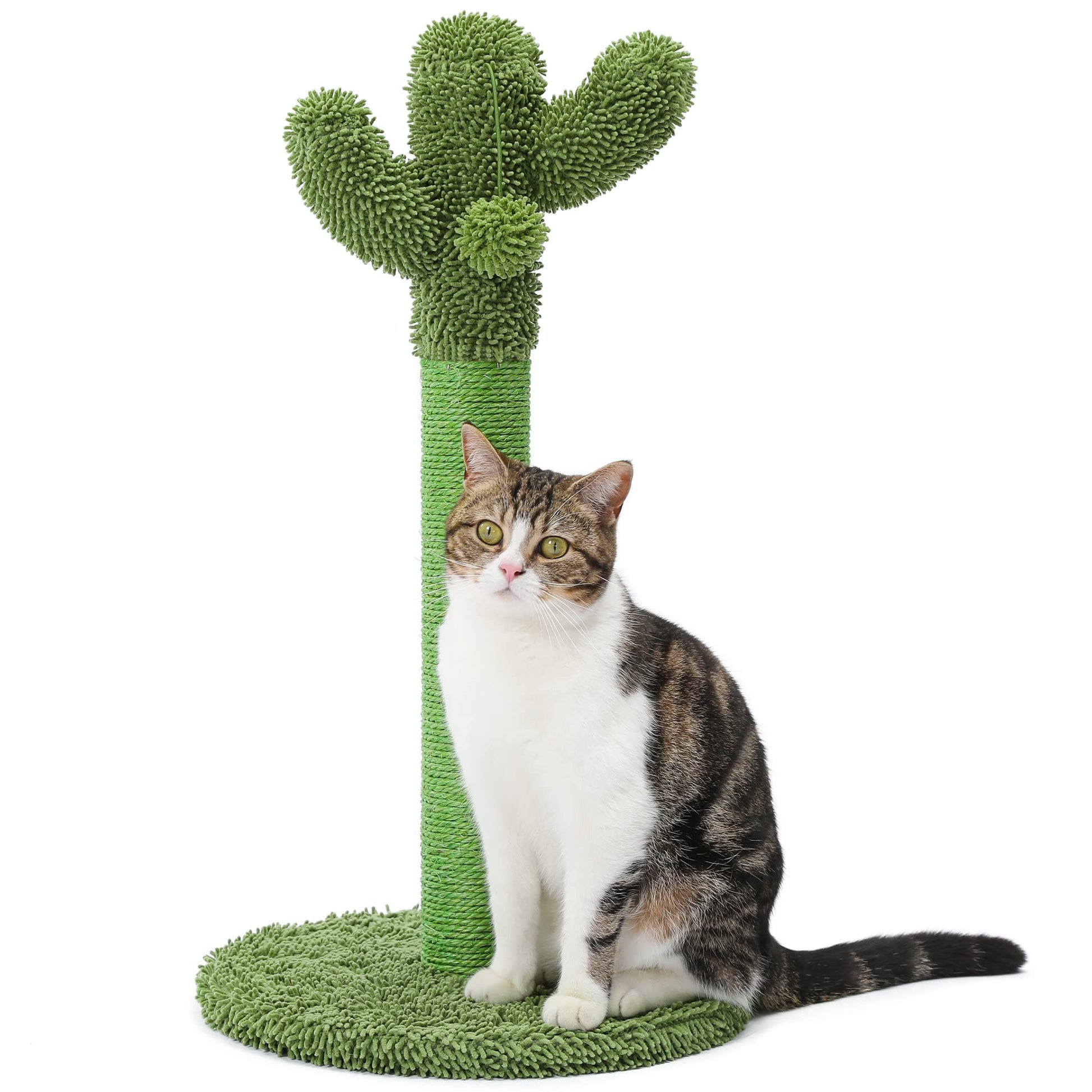 Made4Pets Cat Scratching Post, 21.7" Cactus Cat Scratcher Kitten Tree