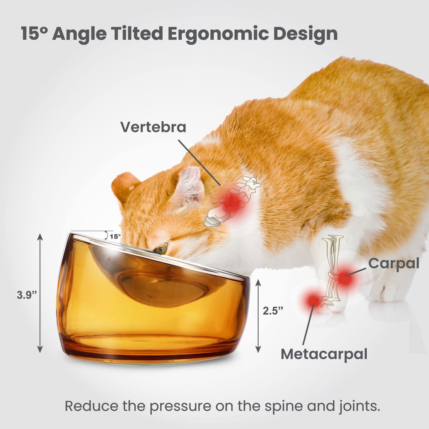 Felli Pet Oblik Whisker Fatigue Cat Food Bowl Raised Stainless Bowl