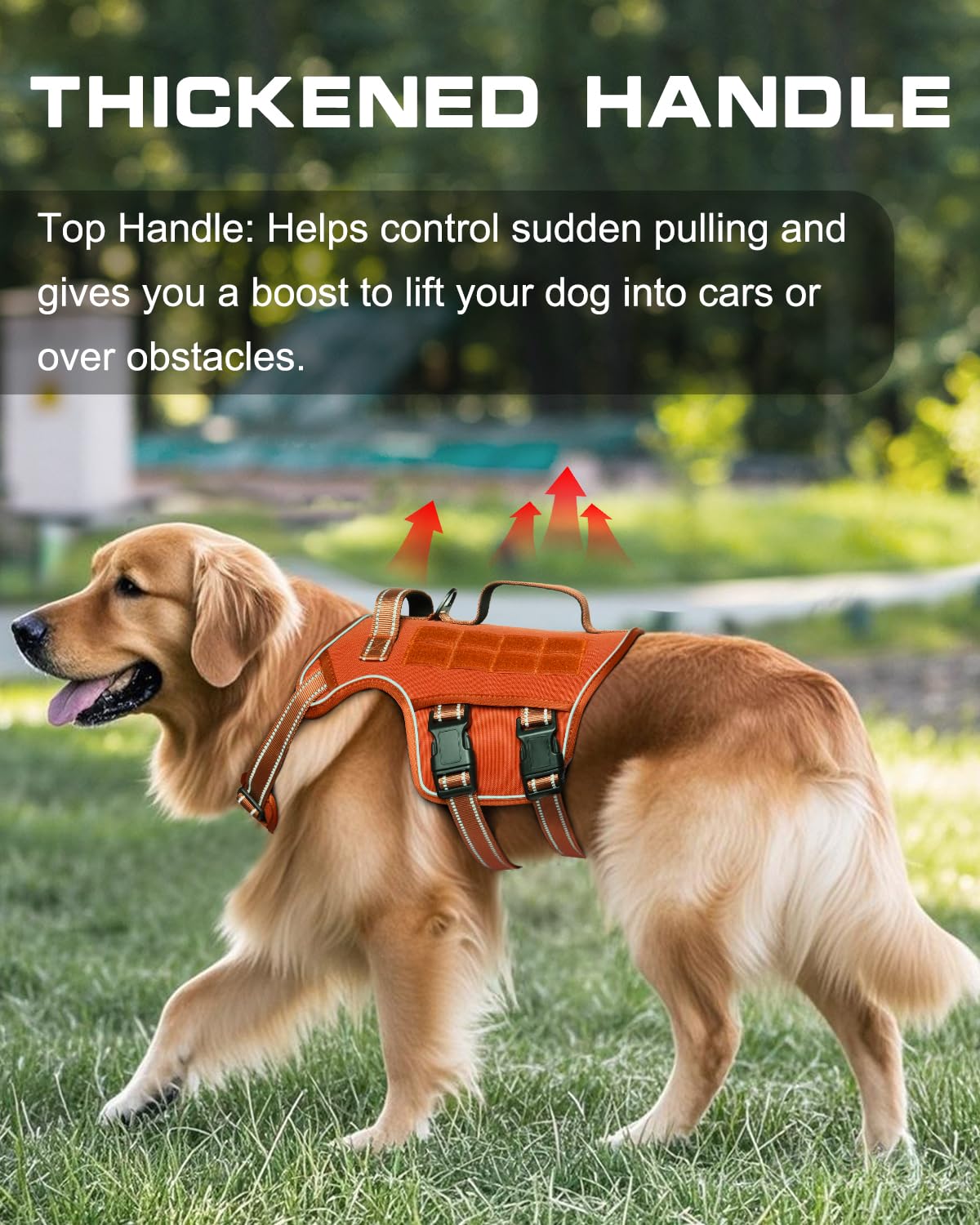 Tactical Dog Harness Medium Sized, Heavy Duty No Pull Dog Harness