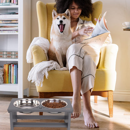 HTB Elevated Dog Bowls, Raised Dog’s Food Stand with 2 Feeder