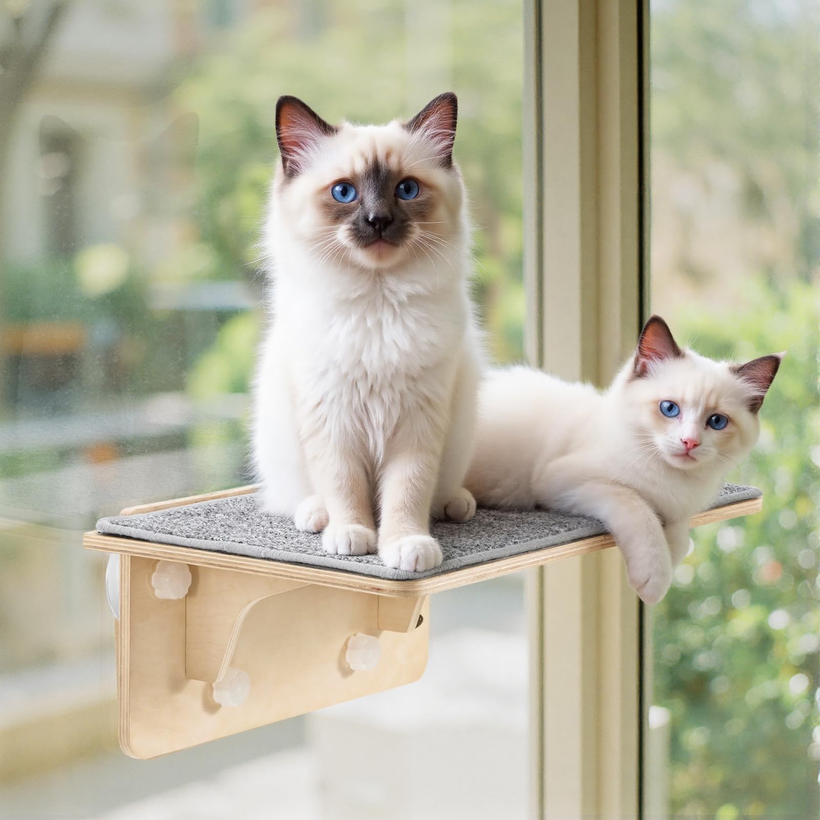 Pecute 2-in-1 Large Cat Window Perch Wall Shelves, Cat Hammock Bed