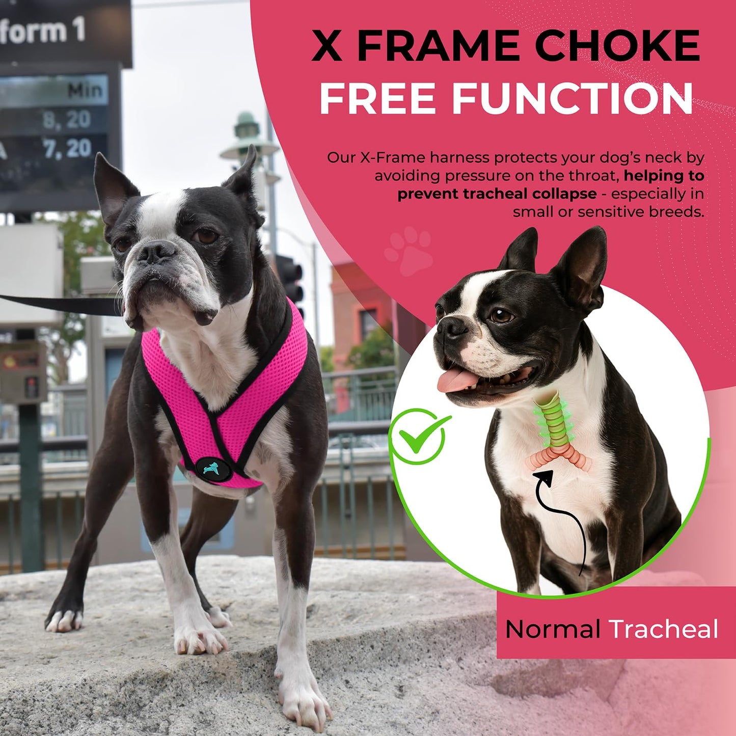 Gooby Comfort X Head In Harness Flamingo Medium No Pull Harness