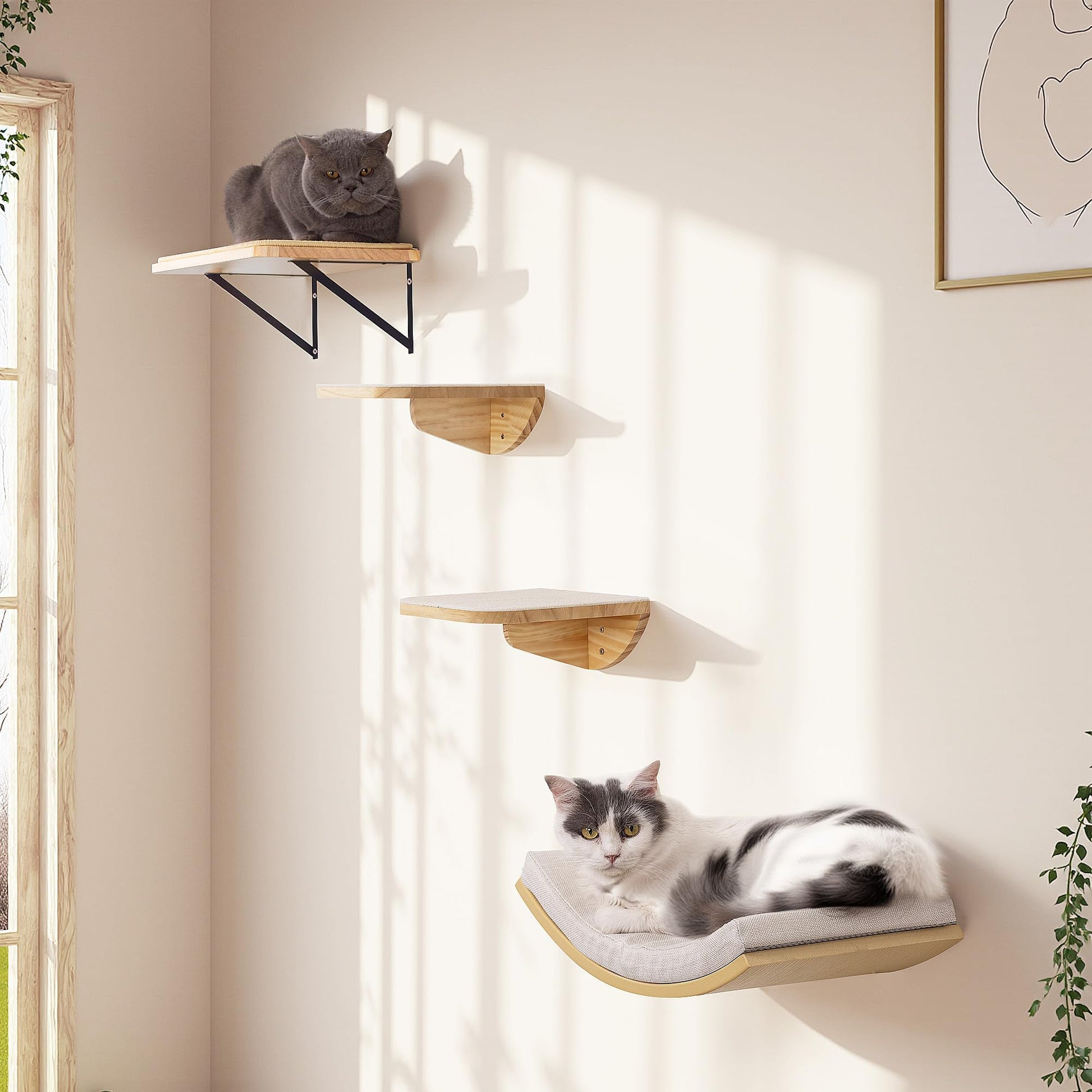 Cat Window Perches, Curved Cat Wall Sisal Mat Bed and 2 Floating Bed