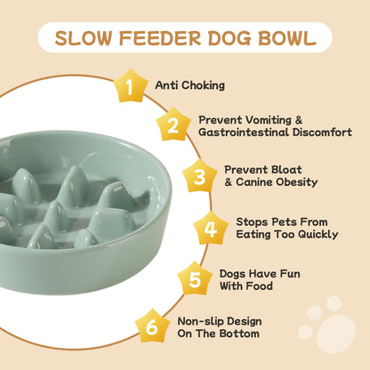 Havniva Ceramic 0.9 Cup Raised Slow Feeder Dog Bowl Set, Elevated Bowl