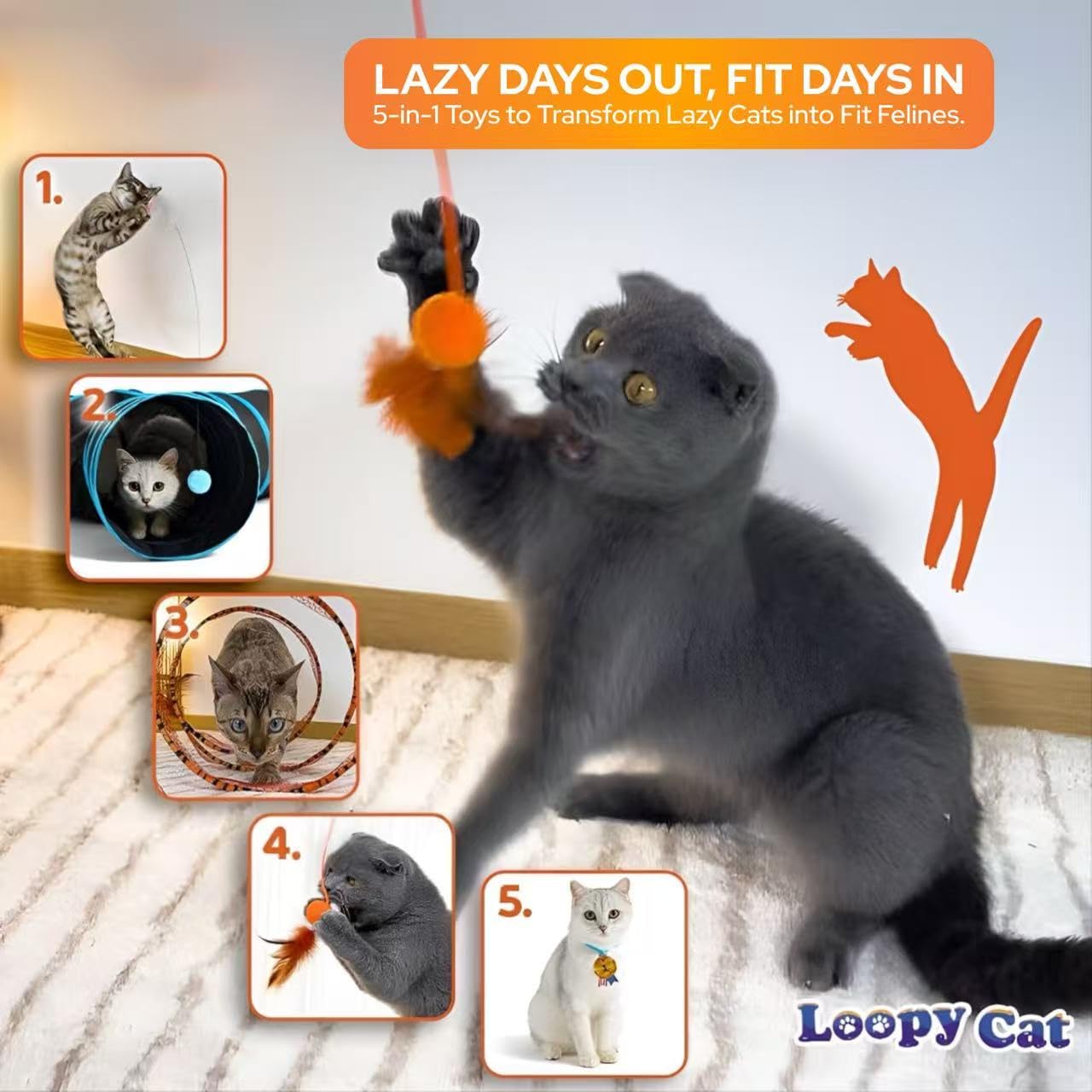 LOOPY CAT Toy Box 5 Interactive Indoor Cat Toys with Spiral Tunnel