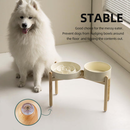 Havniva 3.2 Cup Ceramic Raised Slow Feeder Dog Bowl Set, Elevated Set