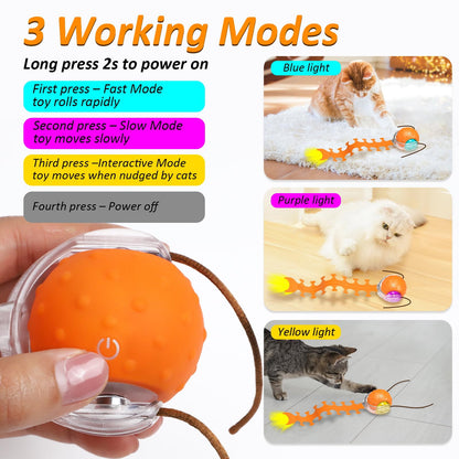 Waaiio Interactive Cat Toy with Centipede Tail,Fast Rolling Ball