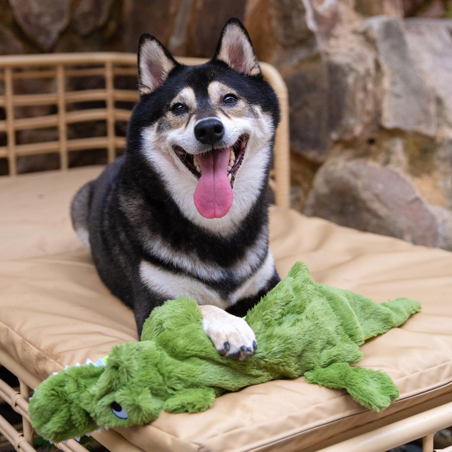 Best Pet Supplies Squeaky Dog Toys with Soft Durable Fabric Toys