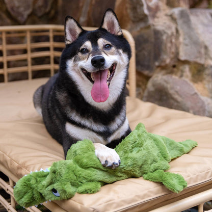 Best Pet Supplies Squeaky Dog Toys with Soft Durable Fabric Toys