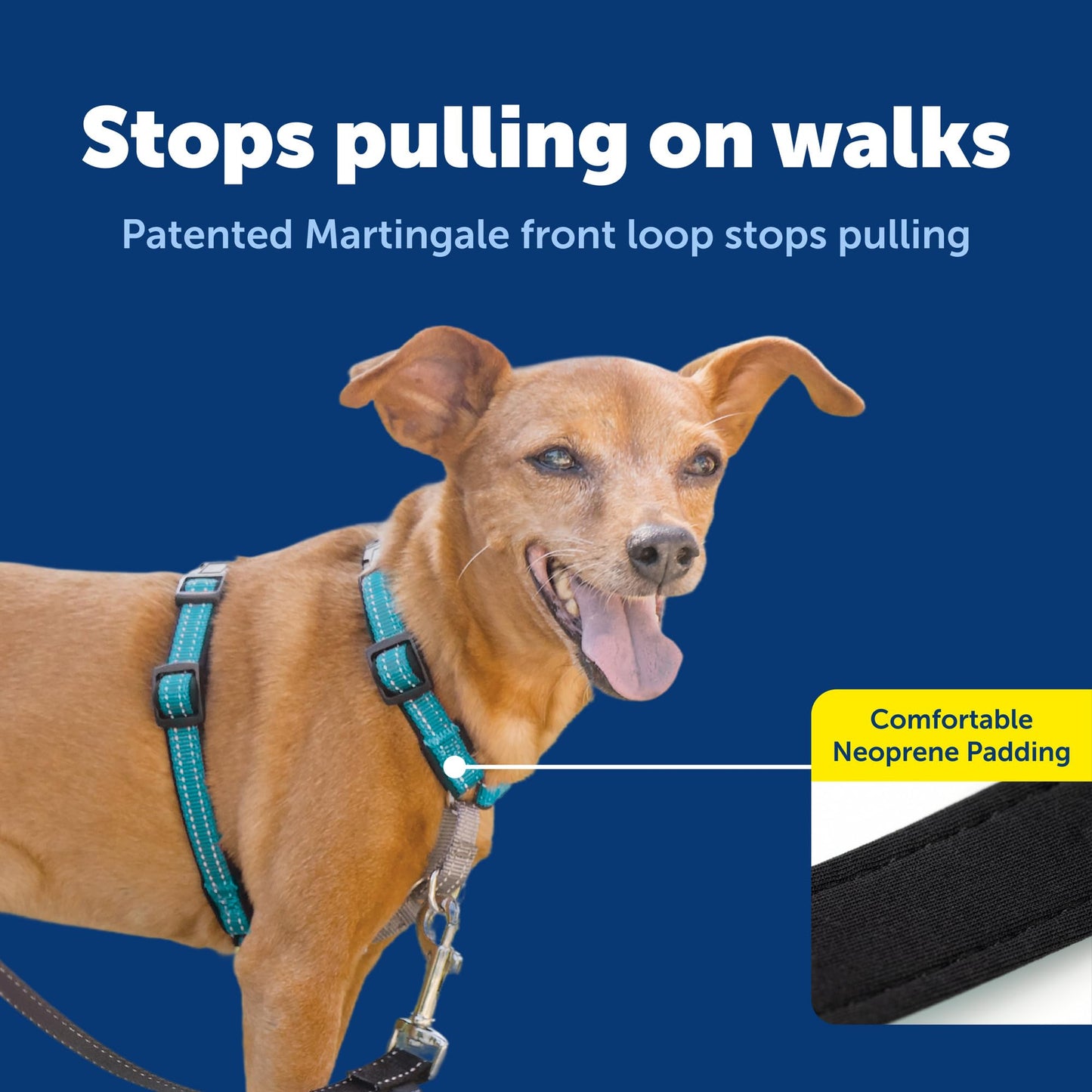 PetSafe 1 No-Pull Dog Harness for Small Dogs- Walk, Train or Harness