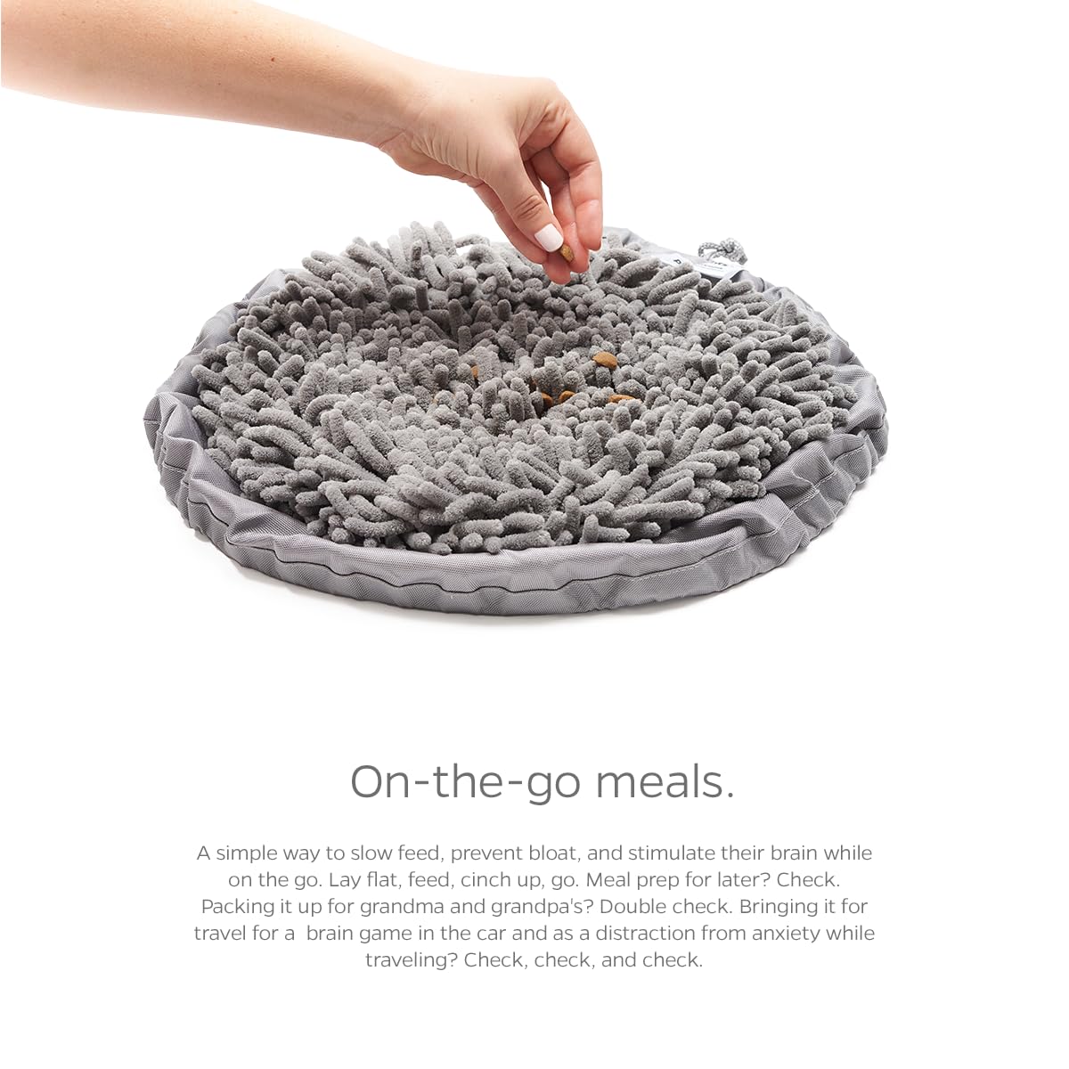 Pet Parents Forager Bowls, Slow Feeder Dog Bowls with SoftSnout Mat