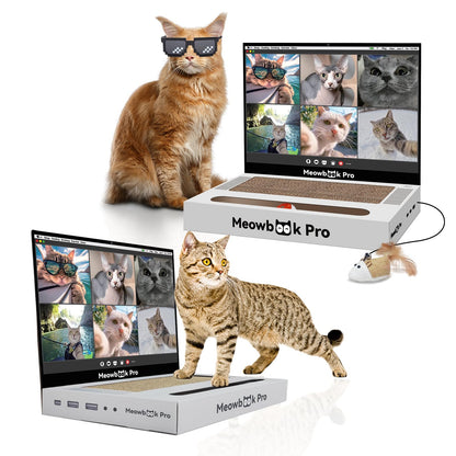 AIWEILUCK 2PCS Cat Scratcher Laptop with 'Mouse' Jingle Ball Pad