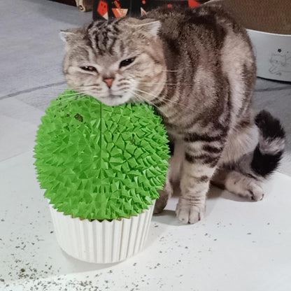 Miwoowim Catnip Feeder and Self Grooming Toys Cat Face Scratcher