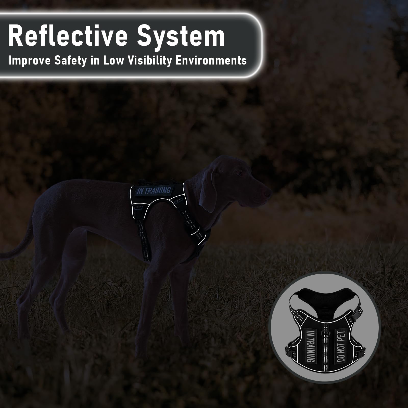 AUNZO Tactical Dog Harness for Large Dogs, for Golden Harness