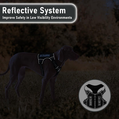 AUNZO Tactical Dog Harness for Large Dogs, for Golden Harness