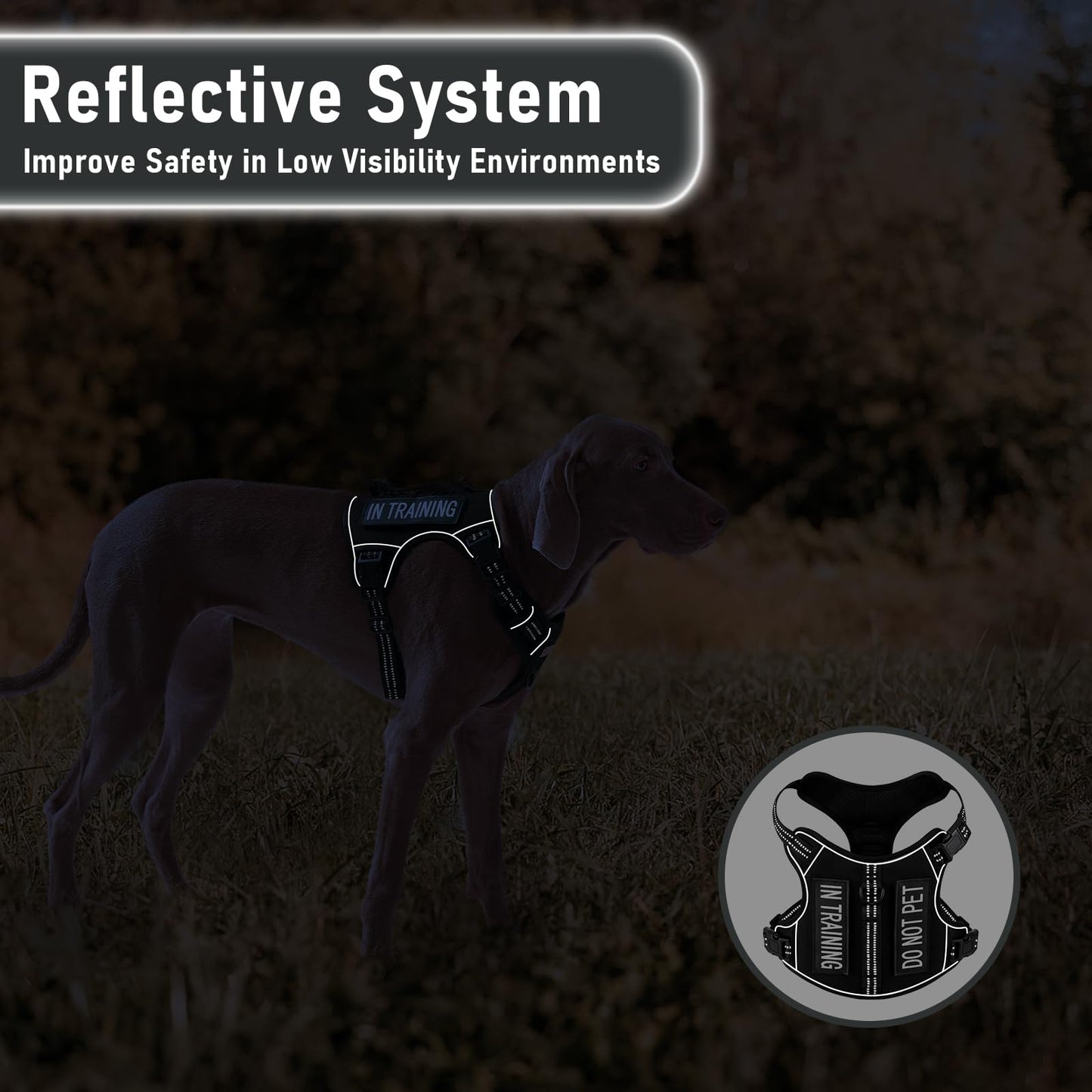 Tactical Dog Harness Medium Sized Dog, No Pull Pet Harness, Clip