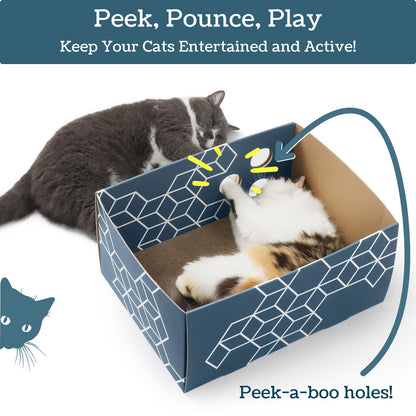 5609PETS Cat Scratching Box with 3 Refillable Double-Sided Pads