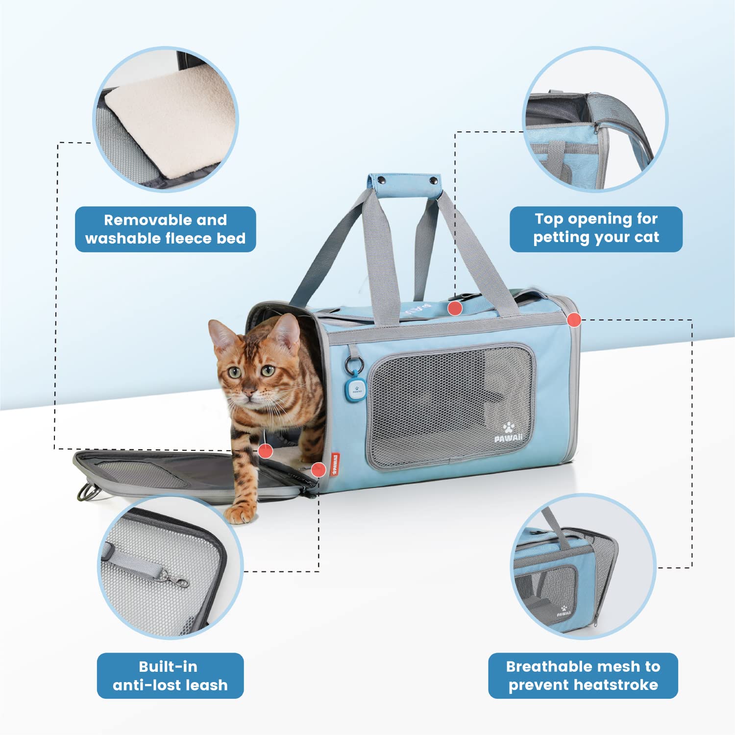 Pawaii Airline Approved Cat Carrier, Cat, Dog Carrier with ID Carrier