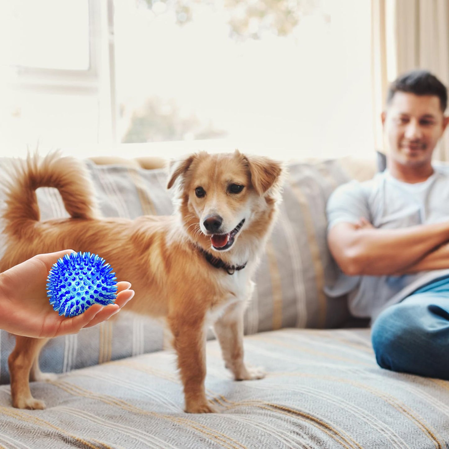 SHARLOVY 3'' Squeaky Balls for Small Dogs, 4 Colors Spiky Dog Balls