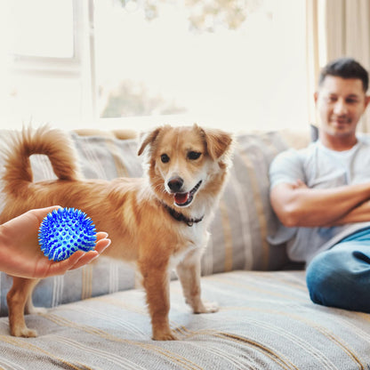 SHARLOVY 3'' Squeaky Balls for Small Dogs, 4 Colors Spiky Dog Balls