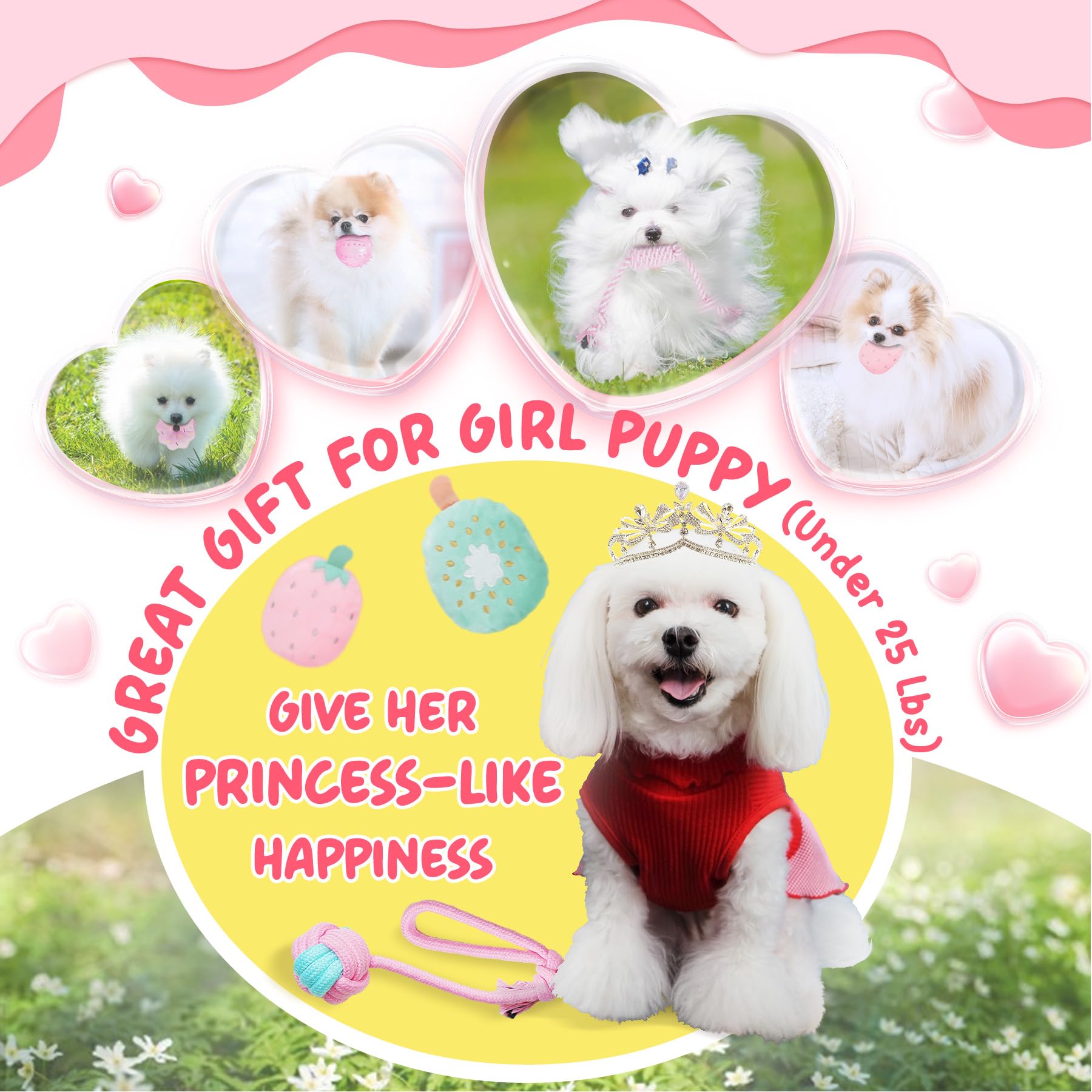 XIUGOAL Puppy Toys for Boredom 23 Pack Puppy Chew Toys for Chew