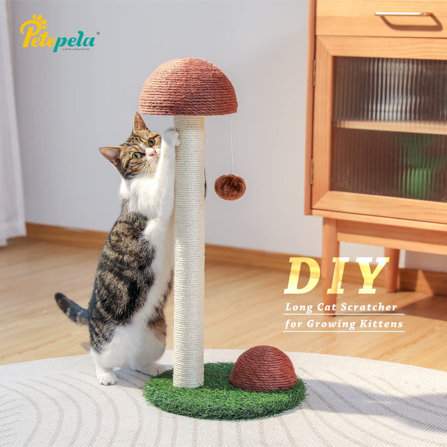 PETEPELA Cat Scratching Post, Mushroom Tall Cat Scratcher Scratcher