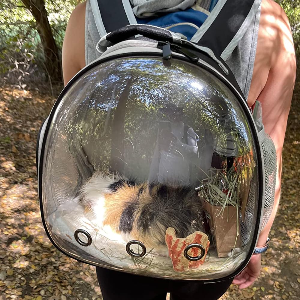 Guinea Pig Backpack Carrier, Bearded Dragon Carrier Backpack