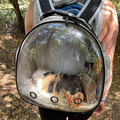 Guinea Pig Backpack Carrier, Bearded Dragon Carrier Backpack