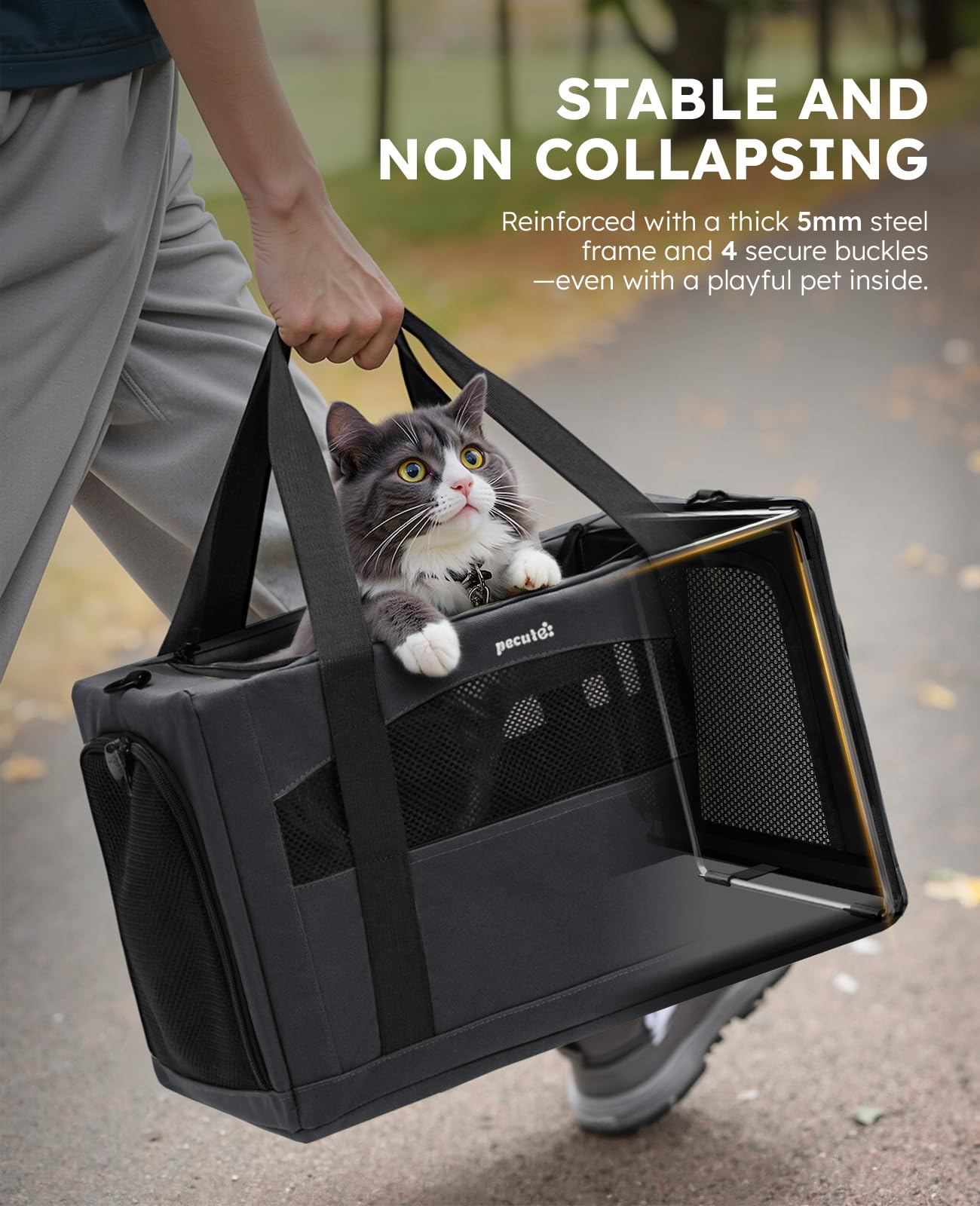 Pecute Cat Carrier Stable XL, Pet Carrier Breathable and Portable, Bag