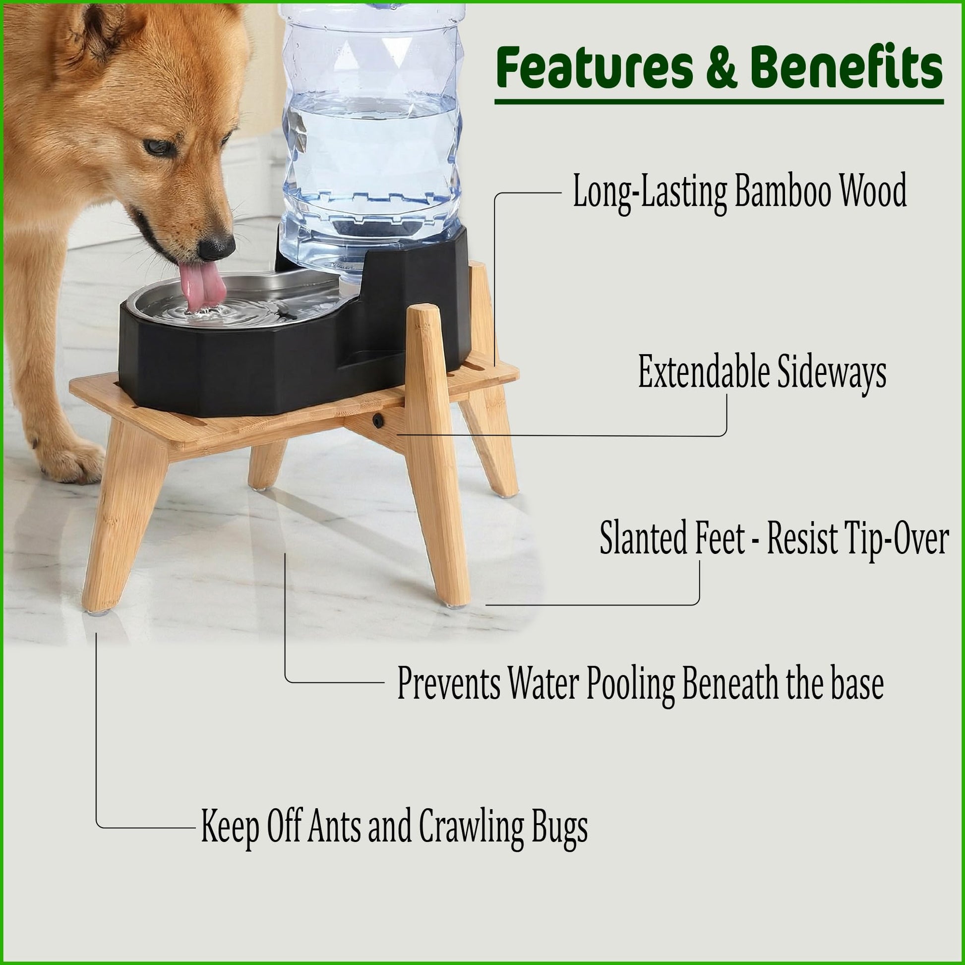Dog Water Bowl Dispenser Stand for Medium Breeds Elevated Raised Bowl