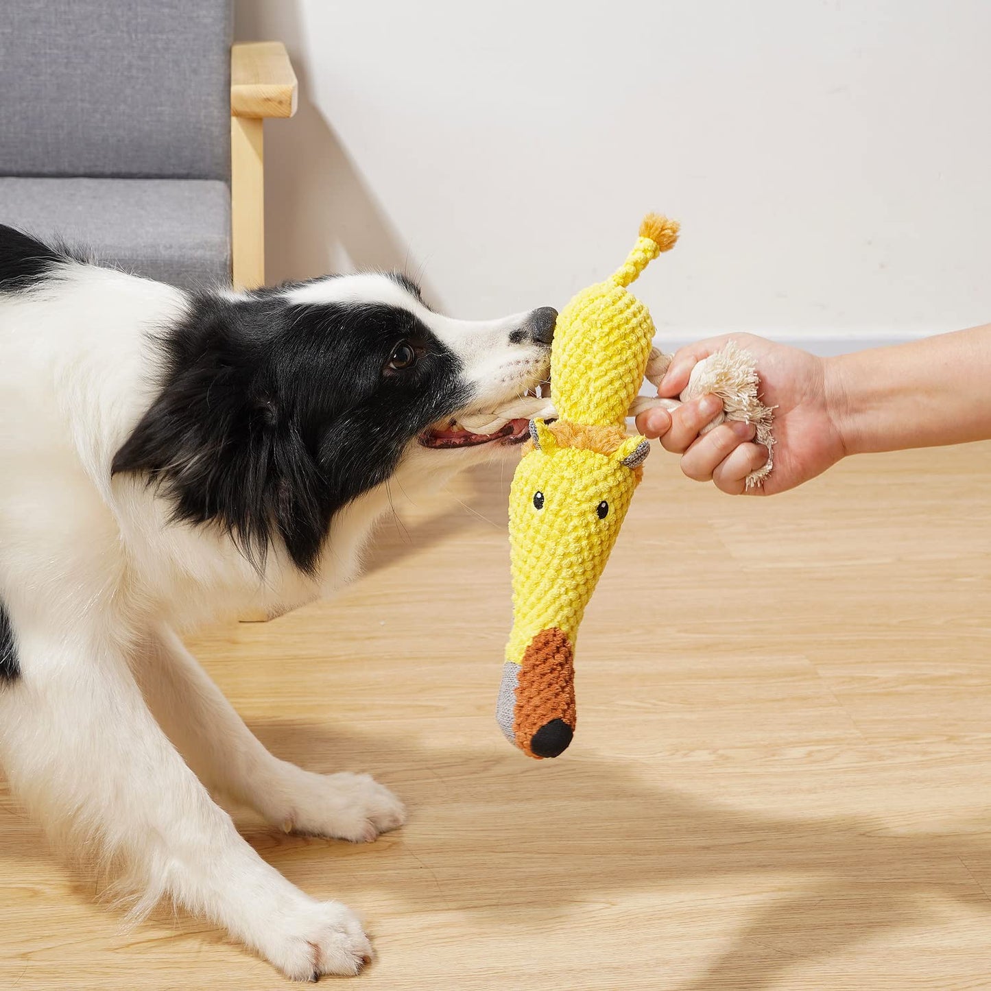 Sedioso Dog Toys, Dog Plush Toy for Large Breed, Cute Squeaky Dogs Toy