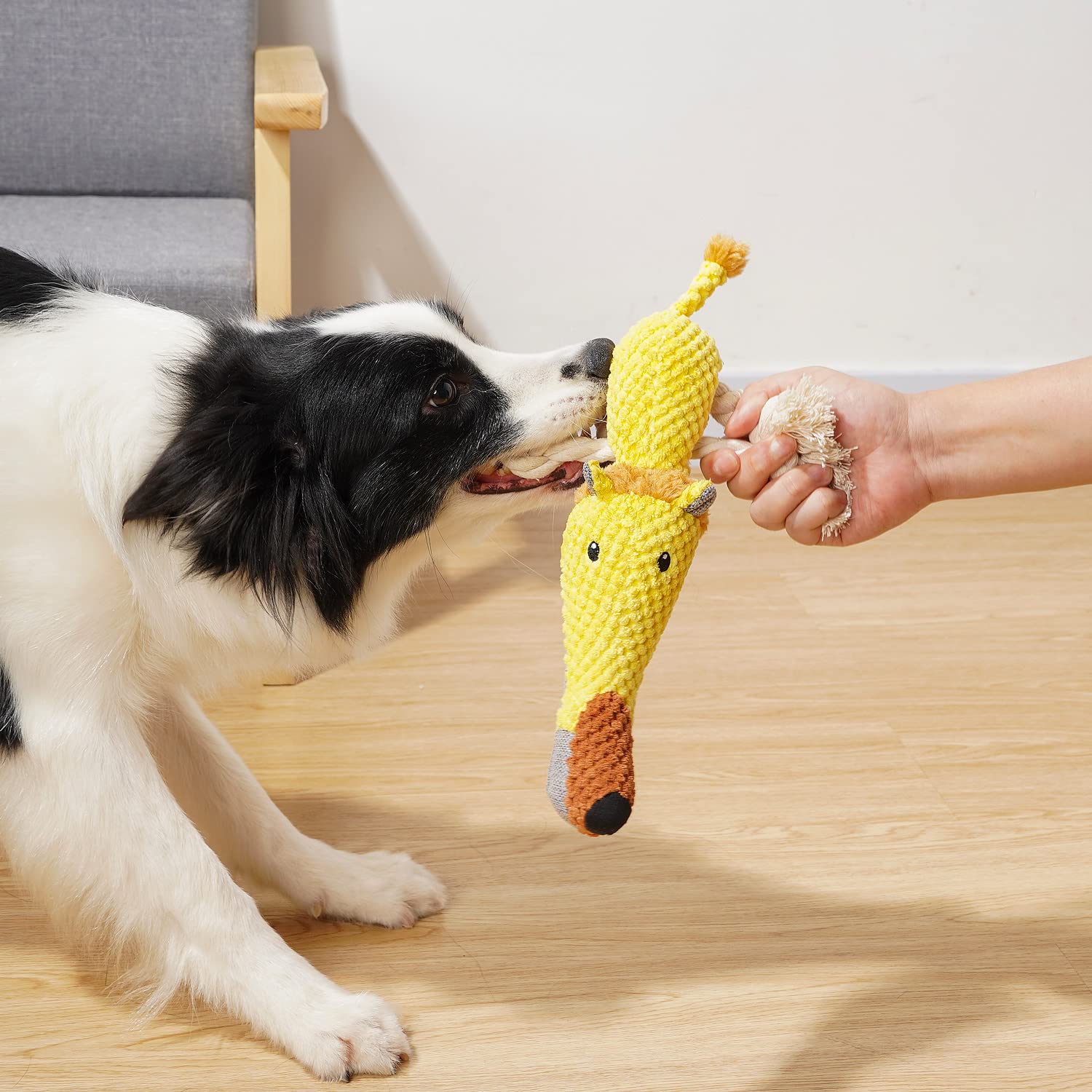 Sedioso Dog Toys, Dog Plush Toy for Large Breed, Cute Squeaky Dogs Toy
