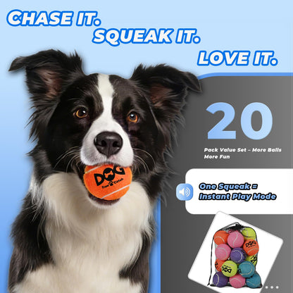 INSUM Squeaky Dog Balls Squeaky Tennis Balls for Dogs, Medium Balls