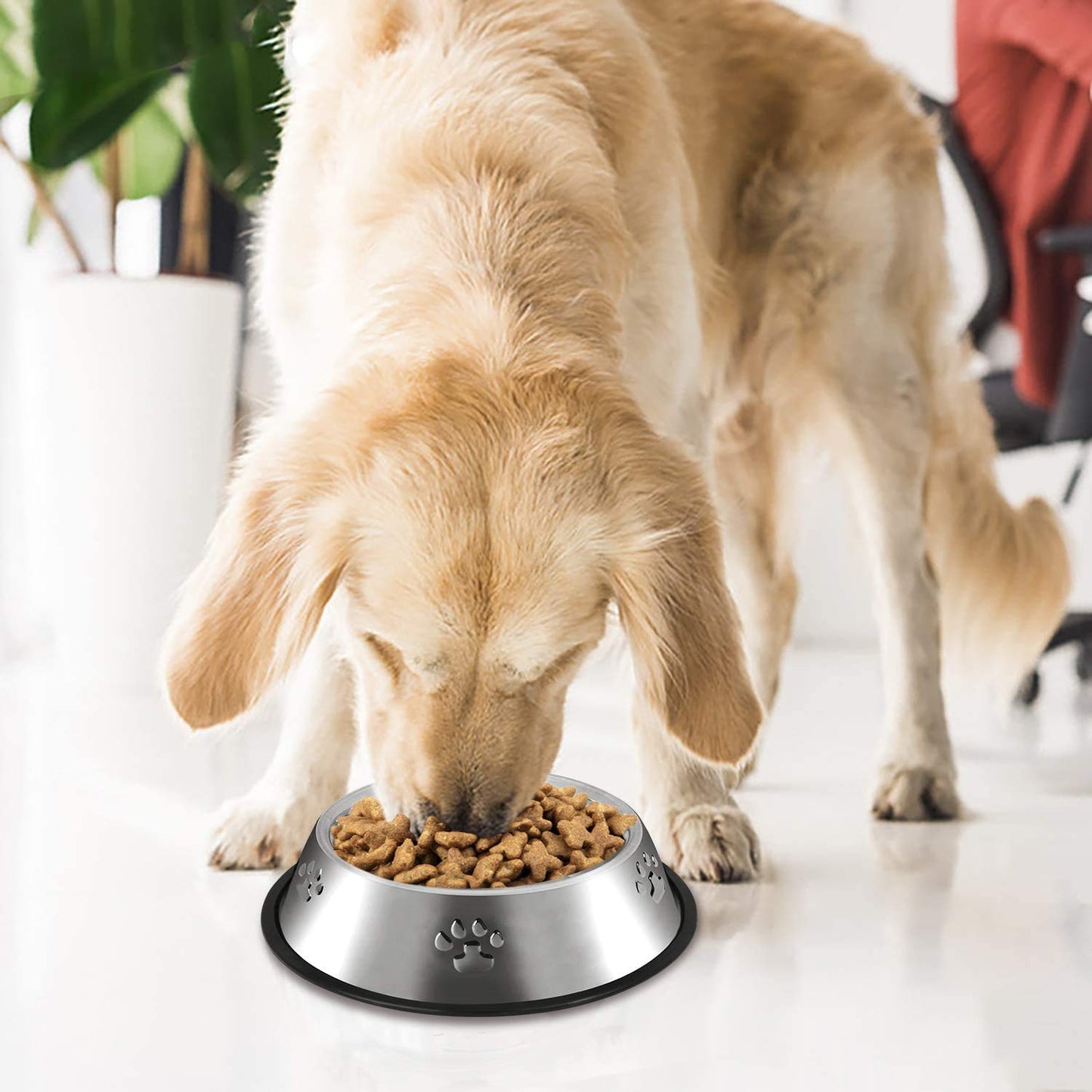 YUDANSI 2 Stainless Steel Dog Bowls, Dog Feeding Bowls Feeder
