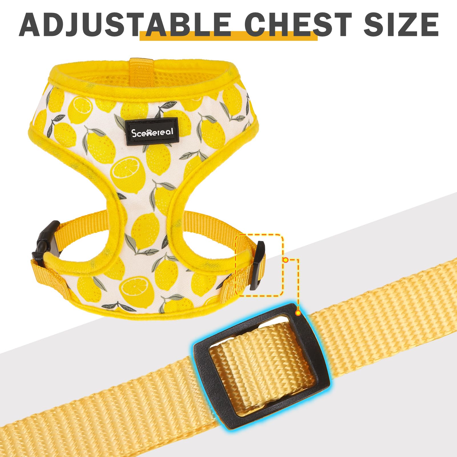 SCENEREAL Small Dog Harness and Leash Collar Set No Pull Dog Harness
