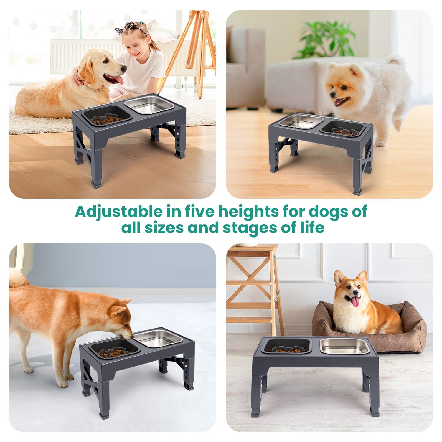 Niubya Elevated Dog Bowls, with Slow Feeder Bowl and Stainless Bowl