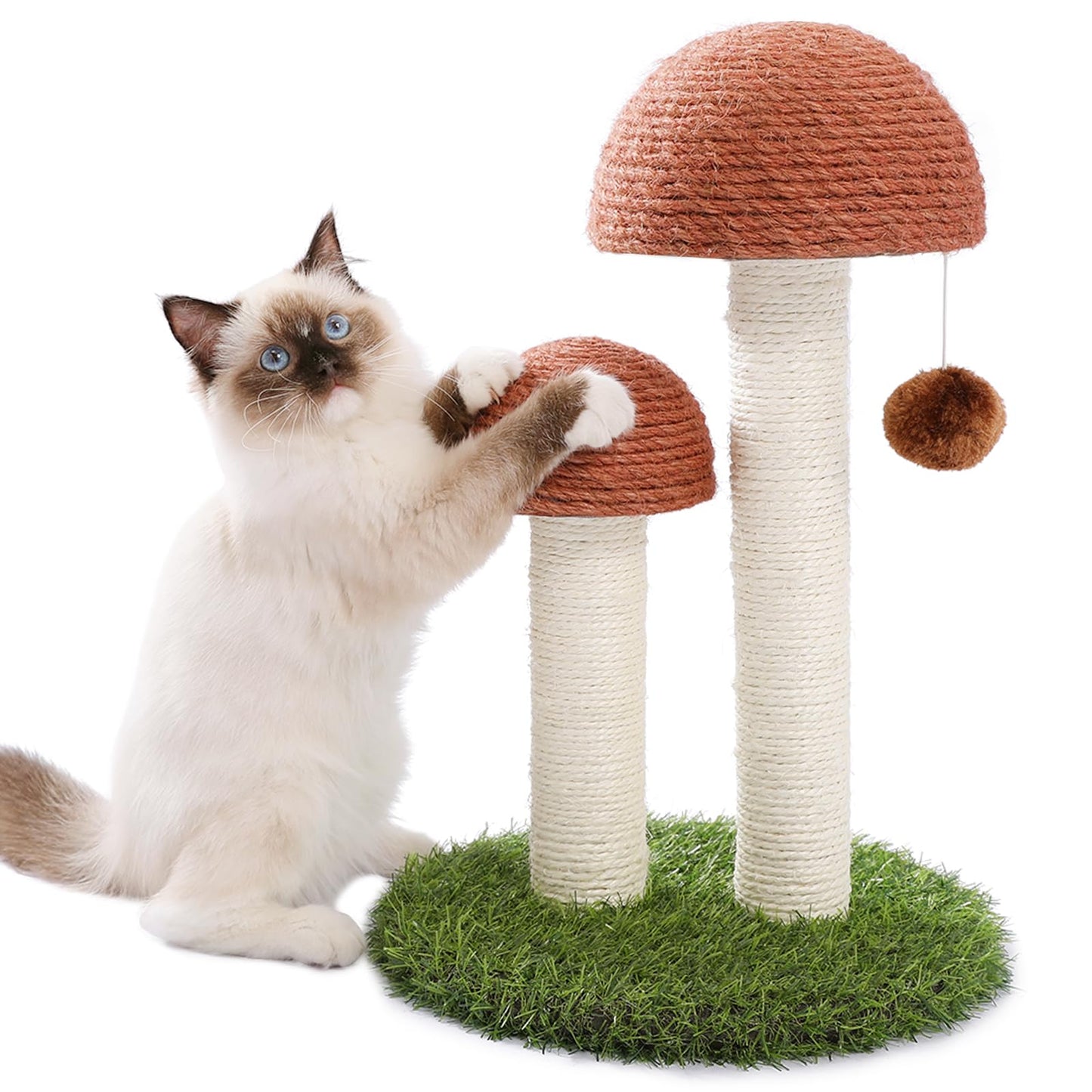 PETEPELA Cat Scratching Post, Mushroom Tall Cat Scratcher Scratcher