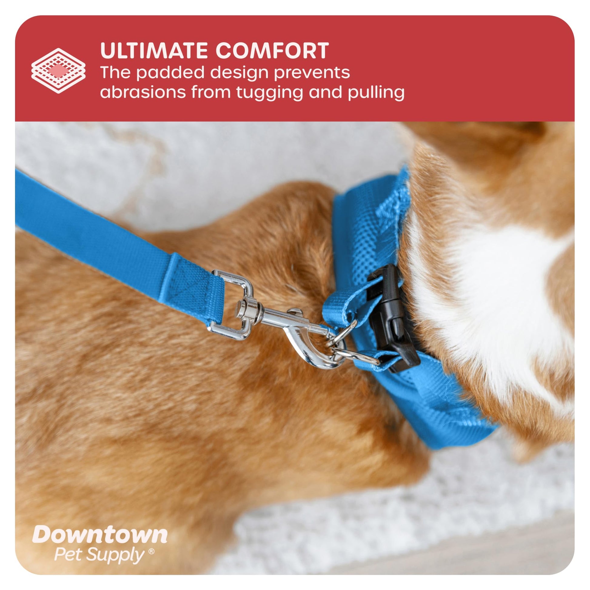 Downtown Pet Supply Step in Dog Harness for Small Dogs, Harness