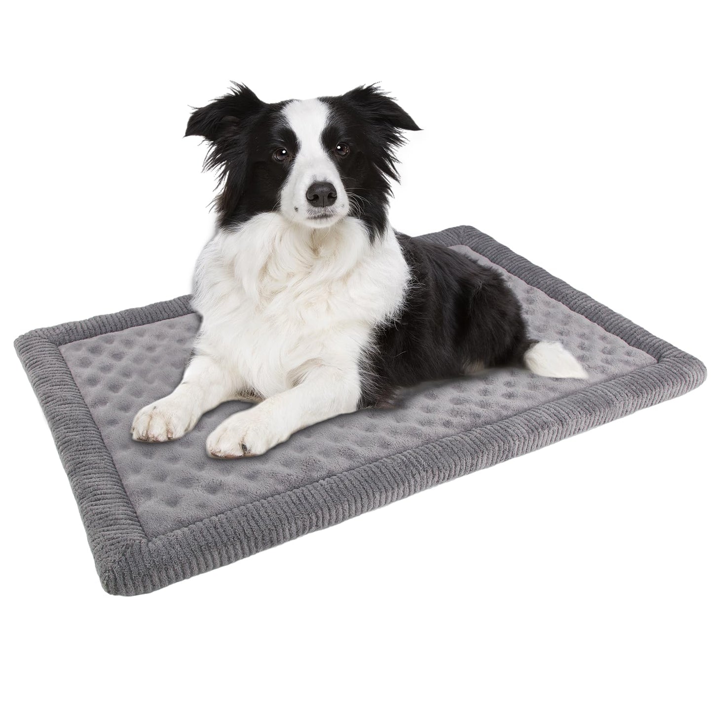 PAGGED Large Dog Crate Pad Memory Foam Dog Kennel Bed Soft Flannel Bed