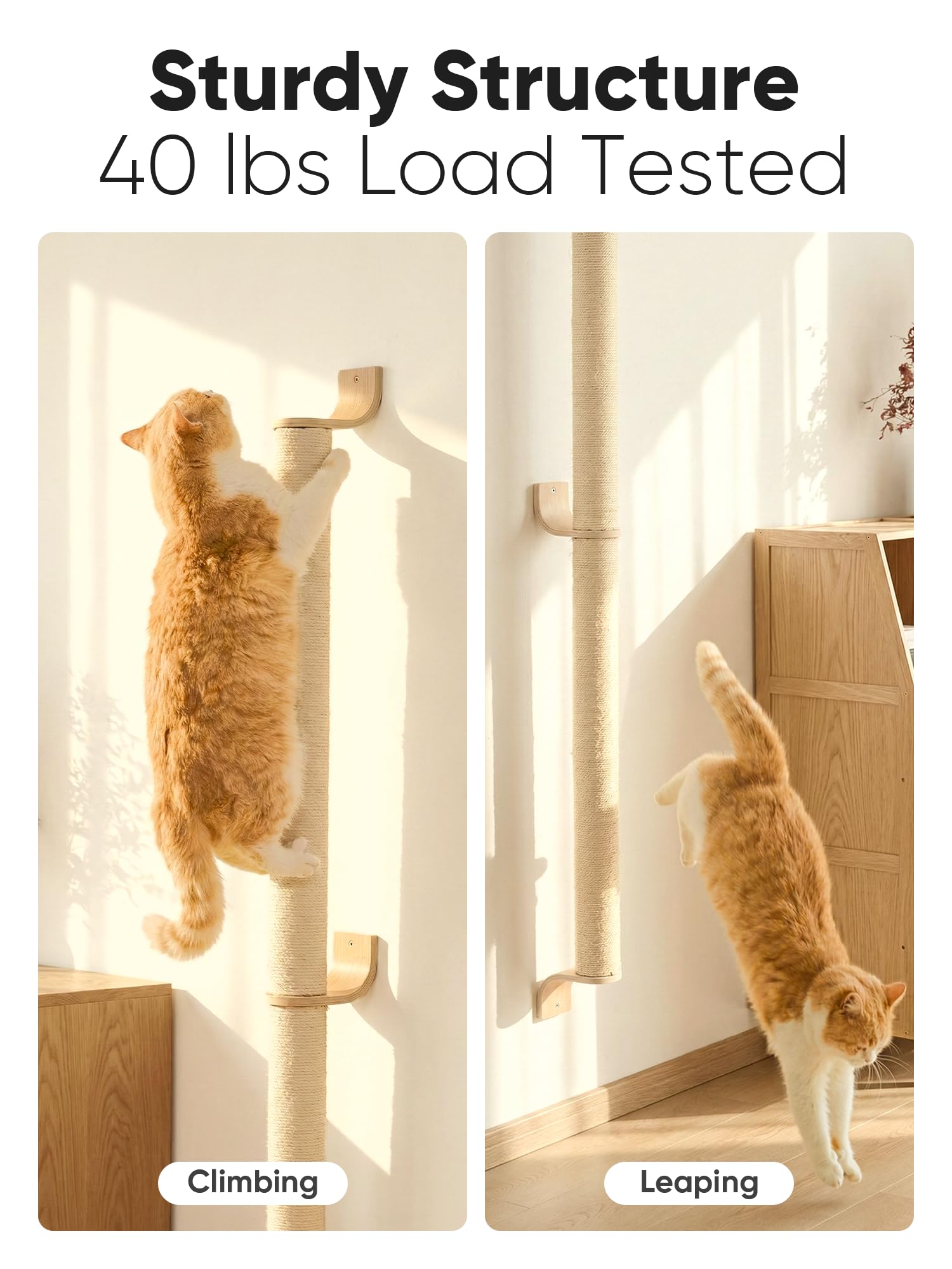 FUKUMARU Cat Wall Scratcher, 60" Tall Wall Mounted Kitten Tree