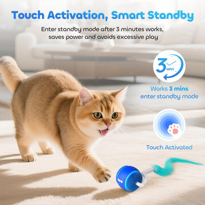 ddxcoo Automatic Interactive Cat Toy Ball for Indoor Cats, Ball