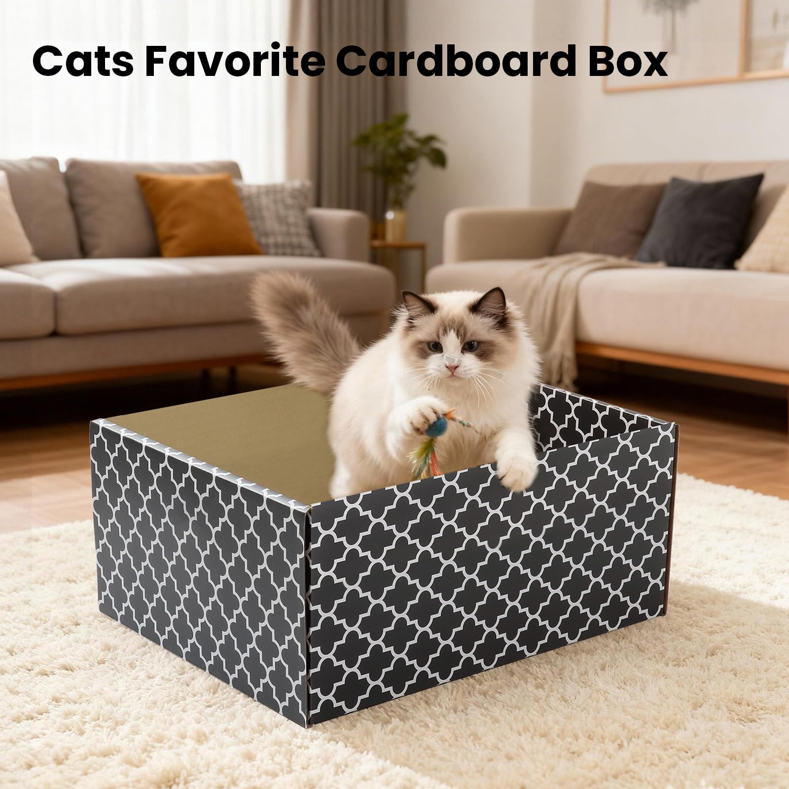 Cardboard Cat Scratcher Box with 3PCS Extra-Large Double-Sided House