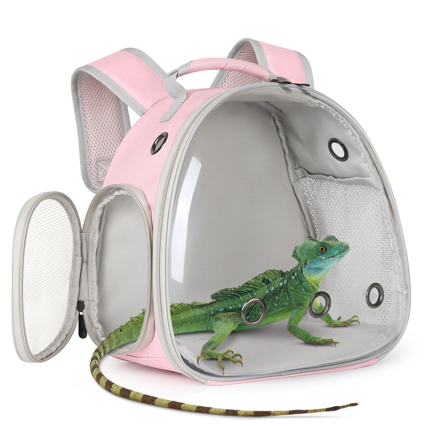 Hamster Backpack Carrier, Bearded Dragon Carrier Backpack with Carrier