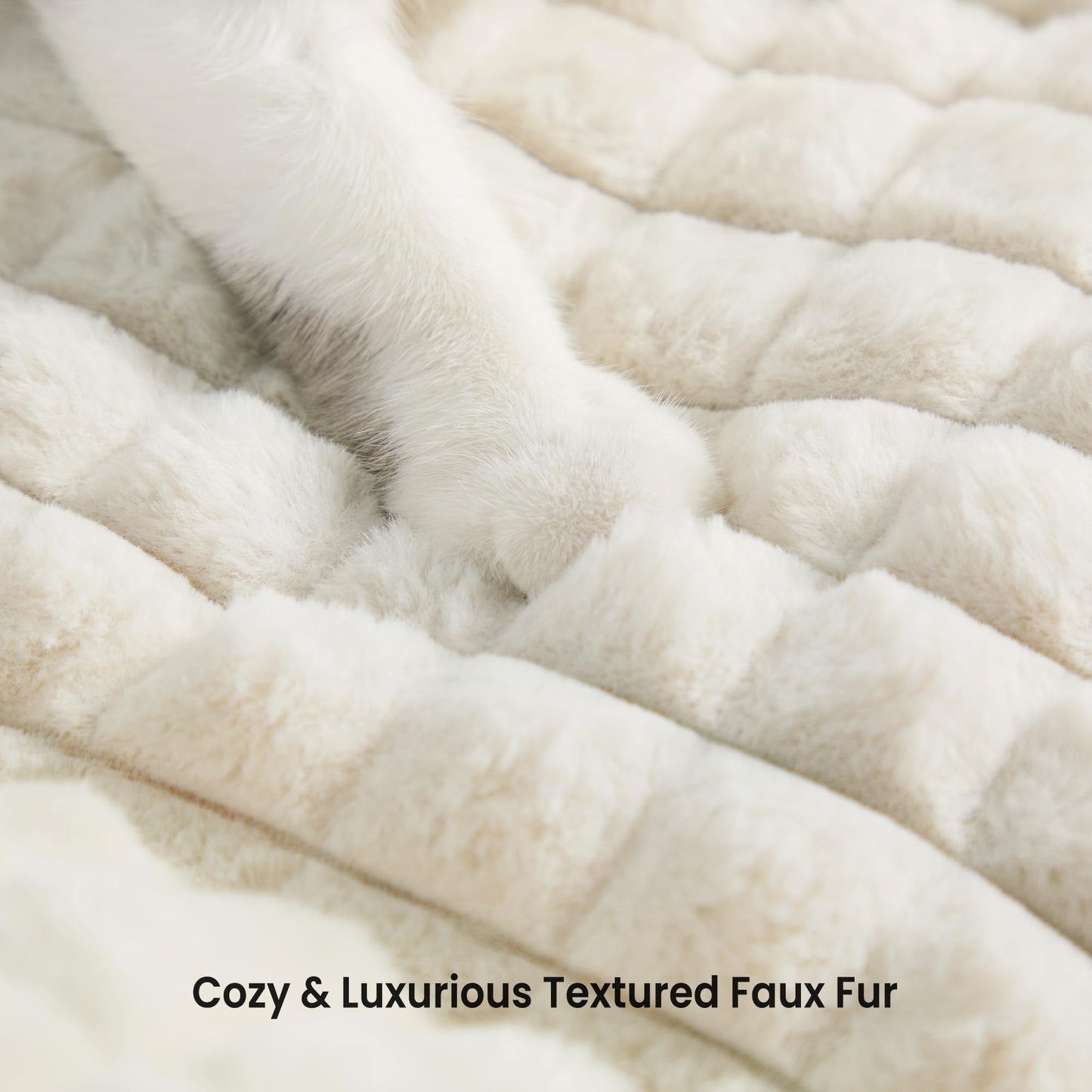 blunique Cat Beds for Indoor Cats Cute Cat Couch Bed Fluffy Pet Sofa