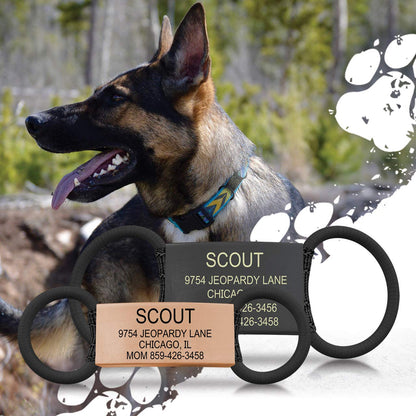 Personalized Dog Tags by ROAD iD, Silent Durable, Jingle-Free Collar