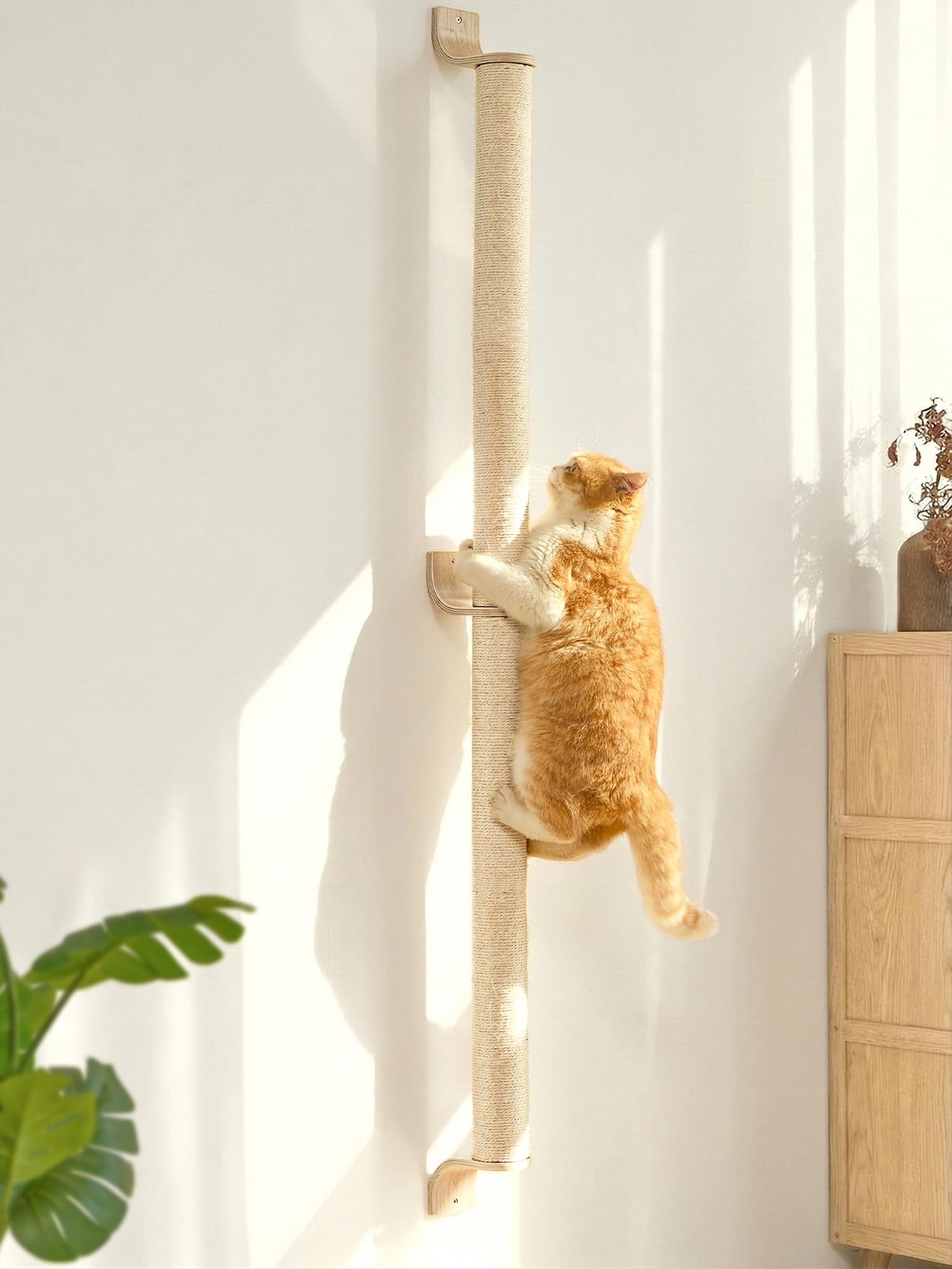 FUKUMARU Cat Wall Scratcher, 60" Tall Wall Mounted Kitten Tree