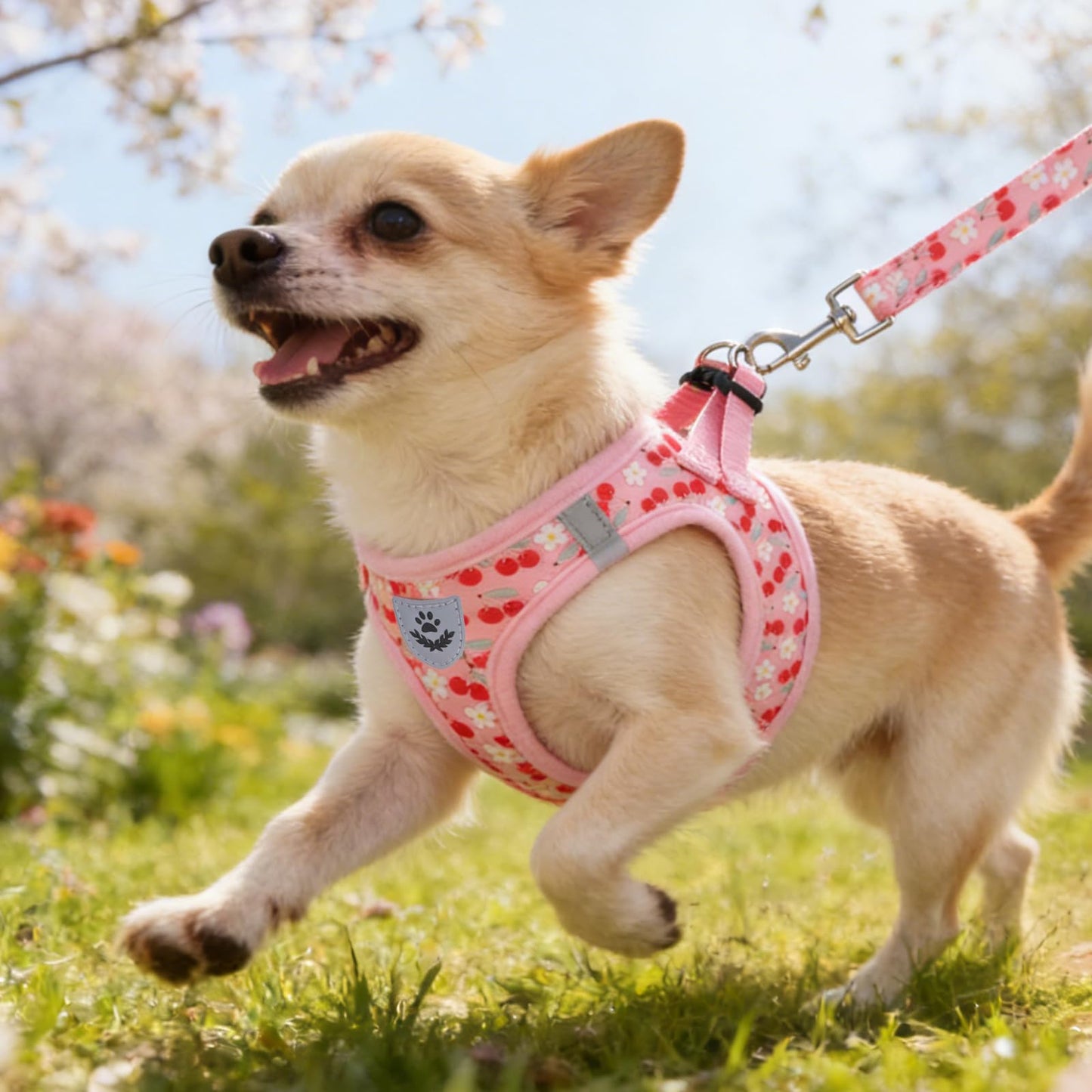 KOOLTAIL Dog Harness for Small Medium Dogs,Dog Harness and Leash Set